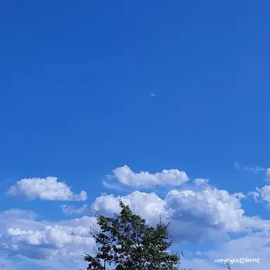 Profile image of 잠뜰