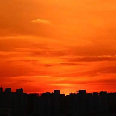 Profile image of 덕개