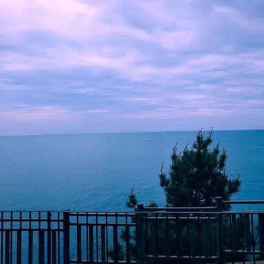 Profile image of 박 지 하