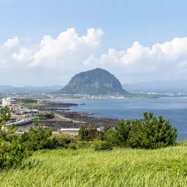 Profile image of 두루미