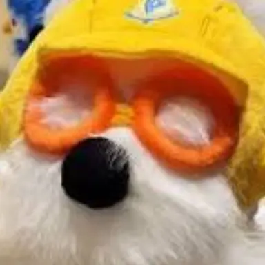 Profile image of 포비