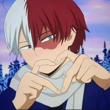 Profile image of Shoto Todoroki