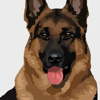 Profile image of 강철