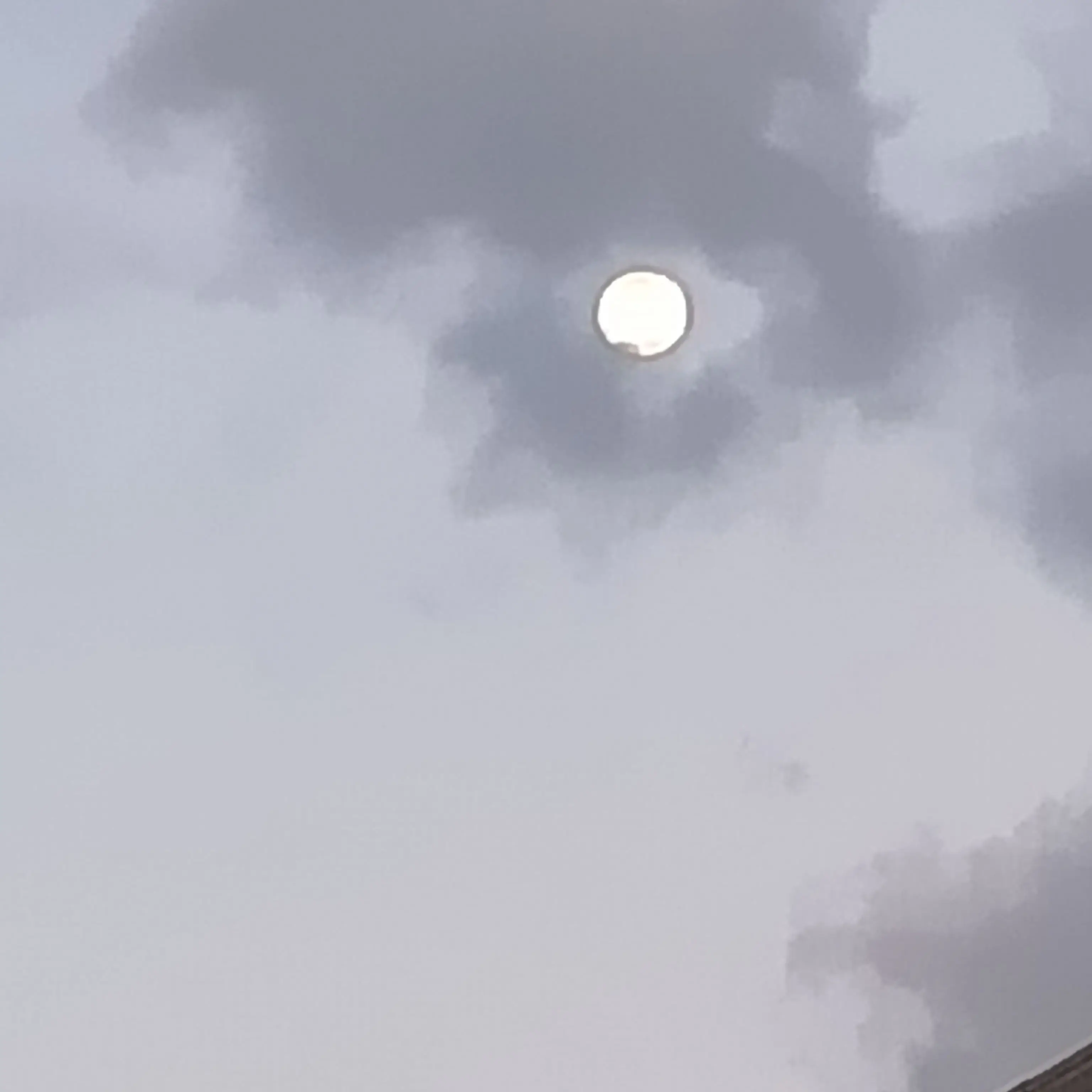 StiffBirth8015의 長尾謙杜