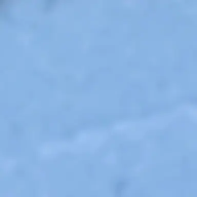 Profile image of 하이타니 란