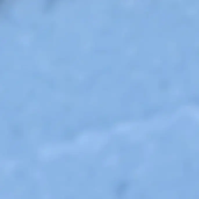 PrettyShirt6500의 하이타니형제