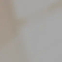 Profile image of 하이타니 린도