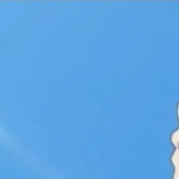Profile image of SAI