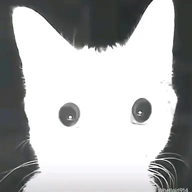 Profile image of 뒷주