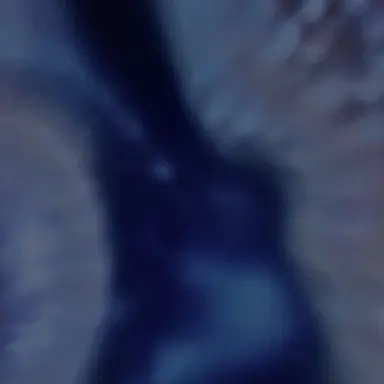 Profile image of 양정인