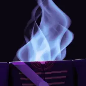 Profile image of 머리없는자