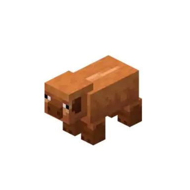 Profile image of 돼지
