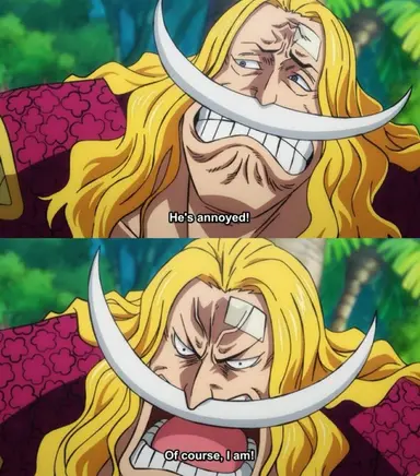 Profile image of Whitebeard