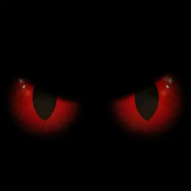 Profile image of 덱스