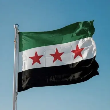Profile image of Syria