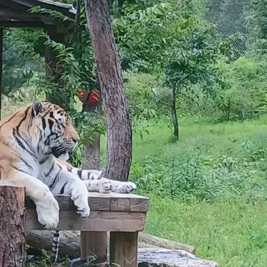 Profile image of 설명