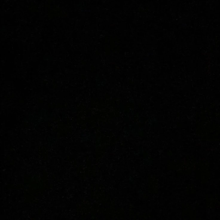 김준희