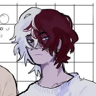 Profile image of Shoto Todoroki
