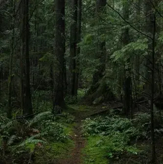 DaringMeat2096의 Luna x Kael