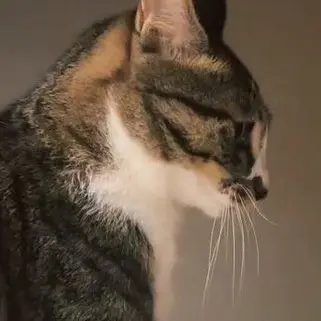 Profile image of 마루