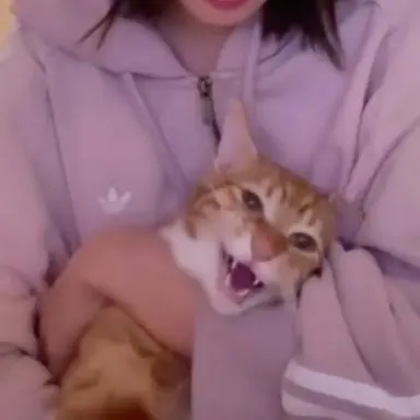 Profile image of 호두