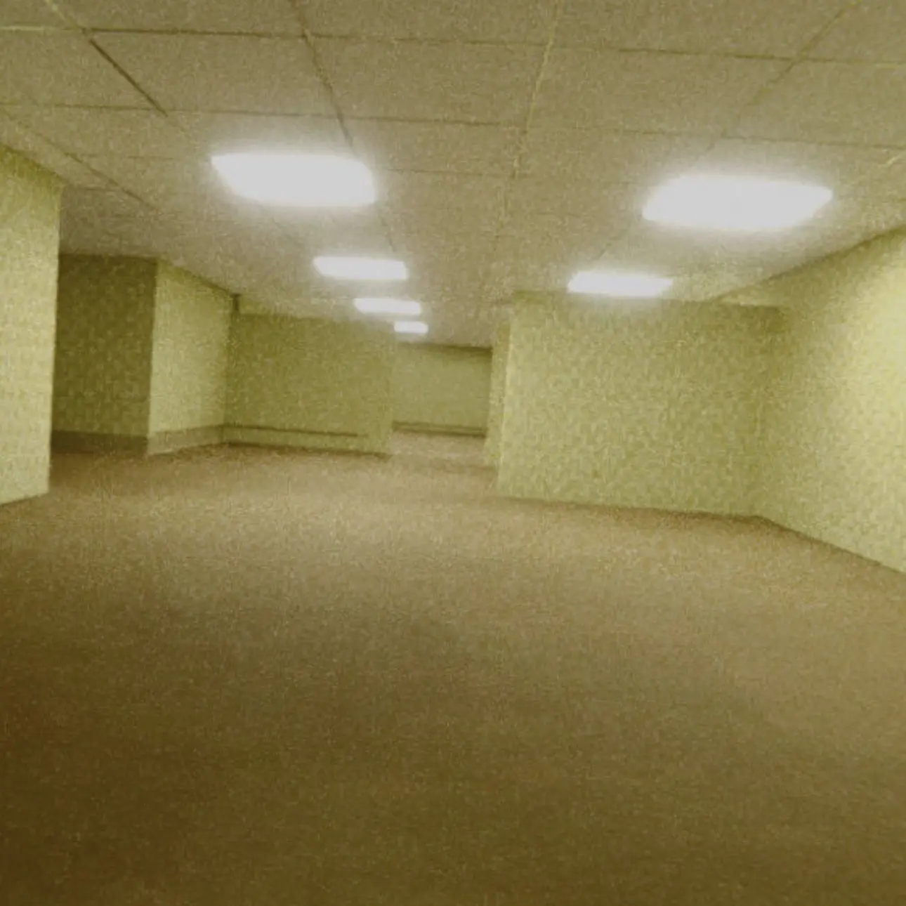 ShabbyFern5628의 Backrooms