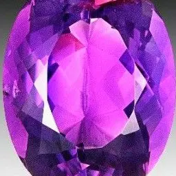 Profile image of 不破湊