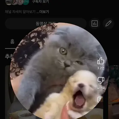 Profile image of 늑대