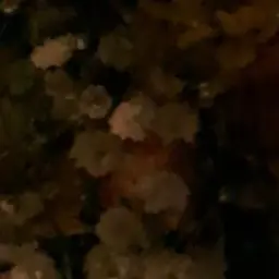 Songstorage의 이소희