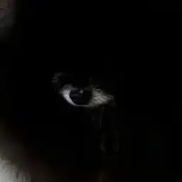 Profile image of 쿠리에이뚸