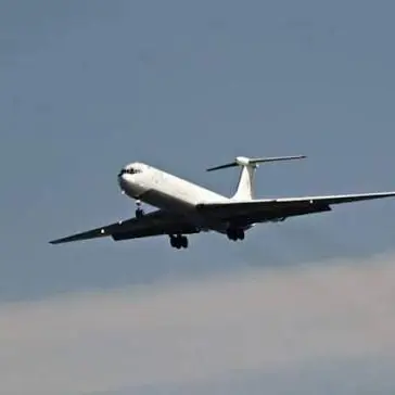 Profile image of 엘리스