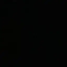 Profile image of 김선우