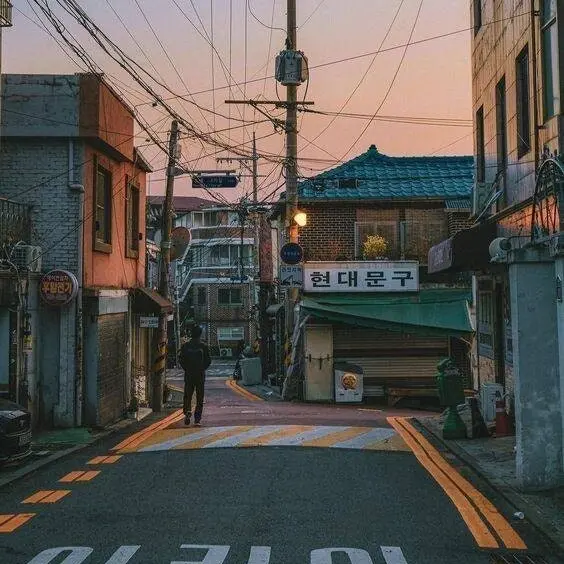 StingyDryer4899의 시골 제베원