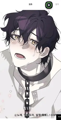 Profile image of 맥