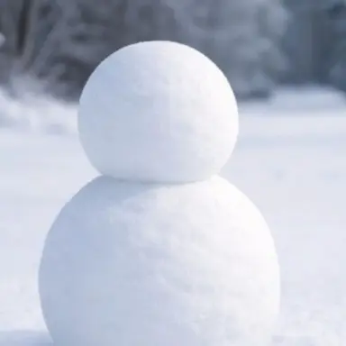 Profile image of 김 운 학