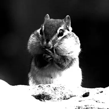 Profile image of チェ・ヒョンジュン