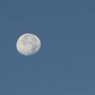 Profile image of たっつん