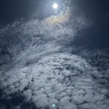 Profile image of なおきり