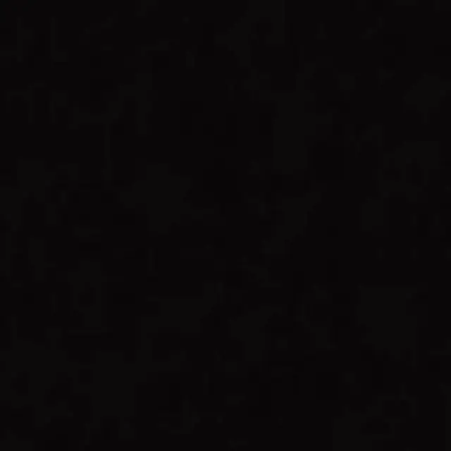 raniceri09의 데식고