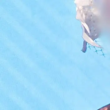 Profile image of 리노