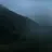 숲