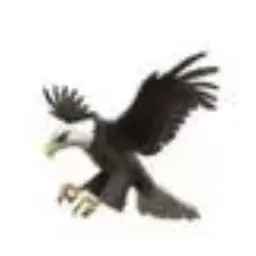 Profile image of 古家 蘭