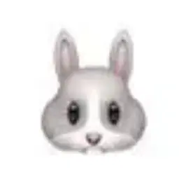 Profile image of 網代 聖人
