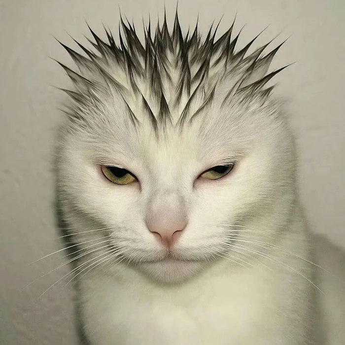 몽실