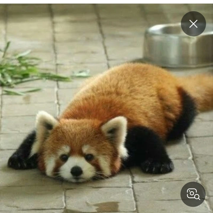 최승혁