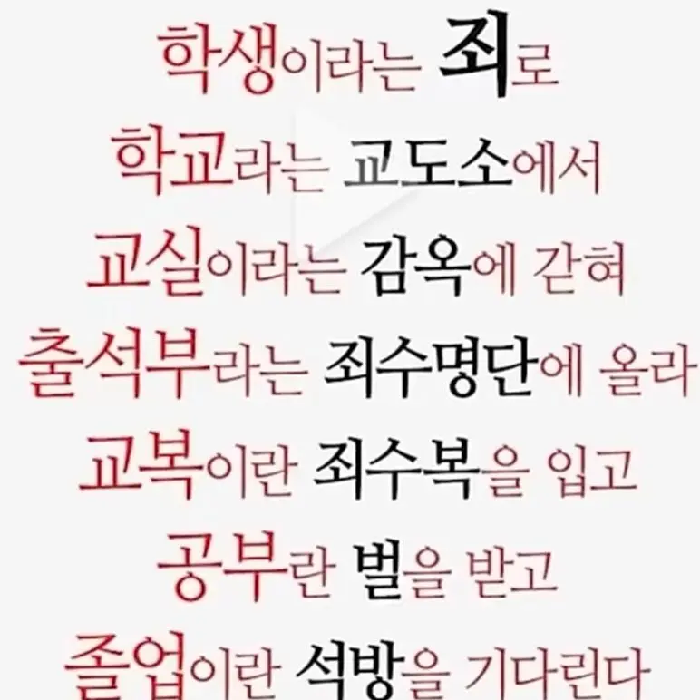 WetGuppy8573의 개인용