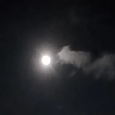 Profile image of 박문대