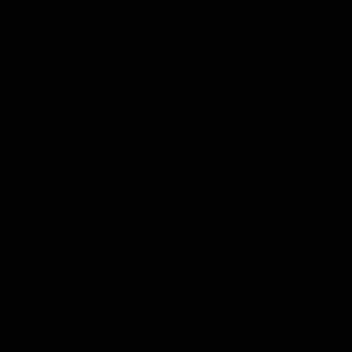 윤  정한