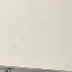 Lanom의 박지성