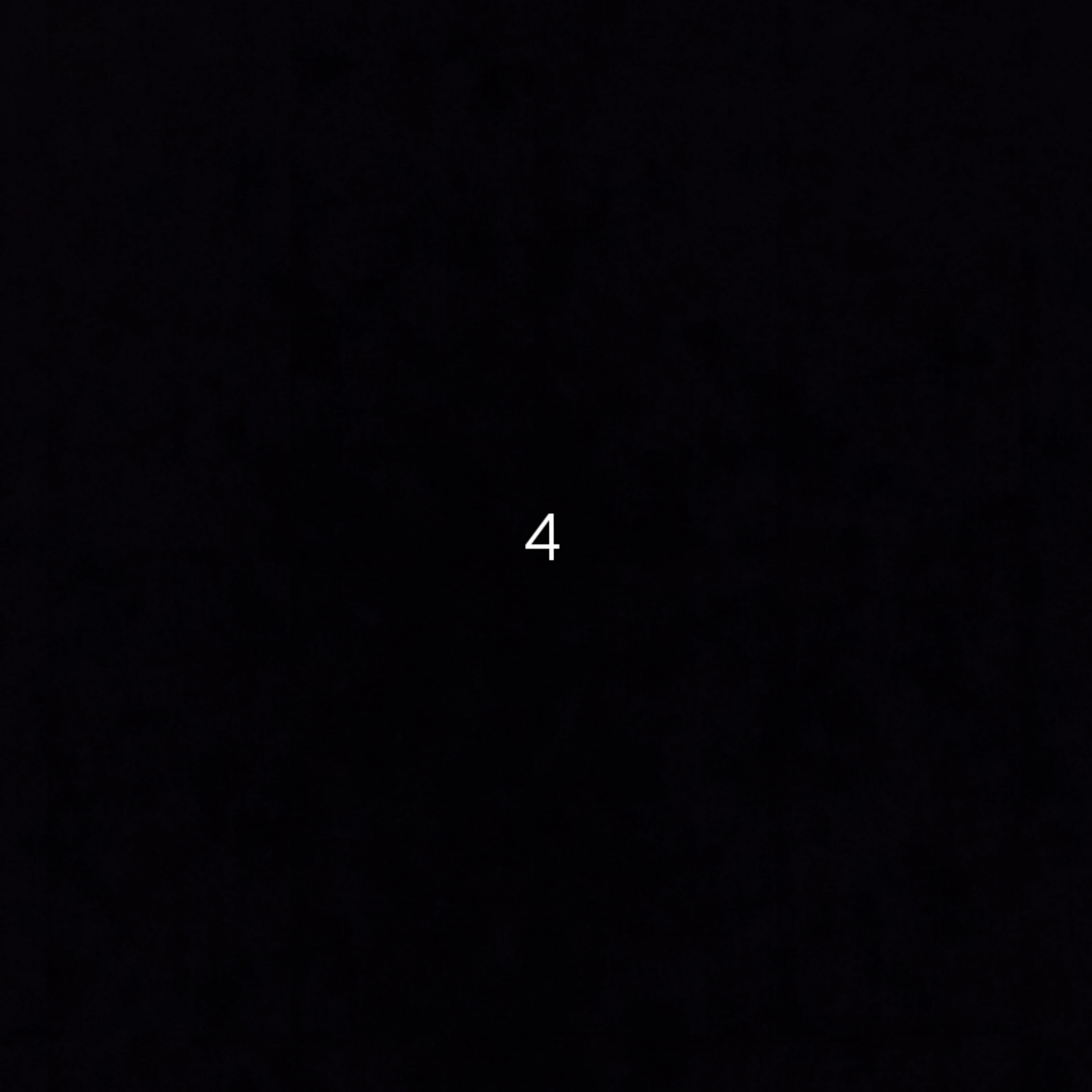 서울의 4대크루